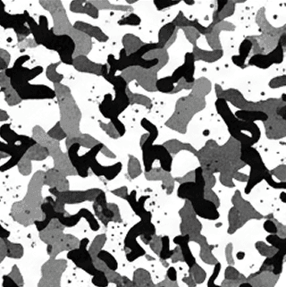Camouflage