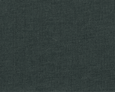 Wild Explorer Cotton