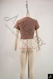 Women Crew Neck Cropped Short Sleeve Top