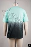Mint to Charcoal Gradient Dip-Dye Crew Neck Streetwear T-shirt