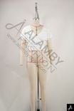 Women's Square Neck Short Sleeve Fitted Top