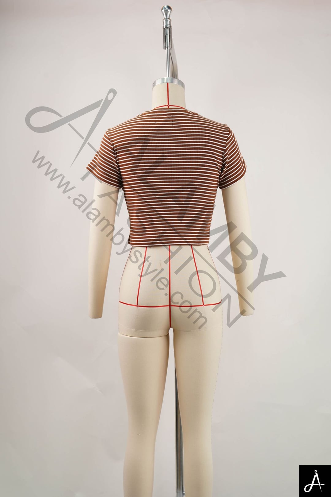 Women Crew Neck Cropped Short Sleeve Top