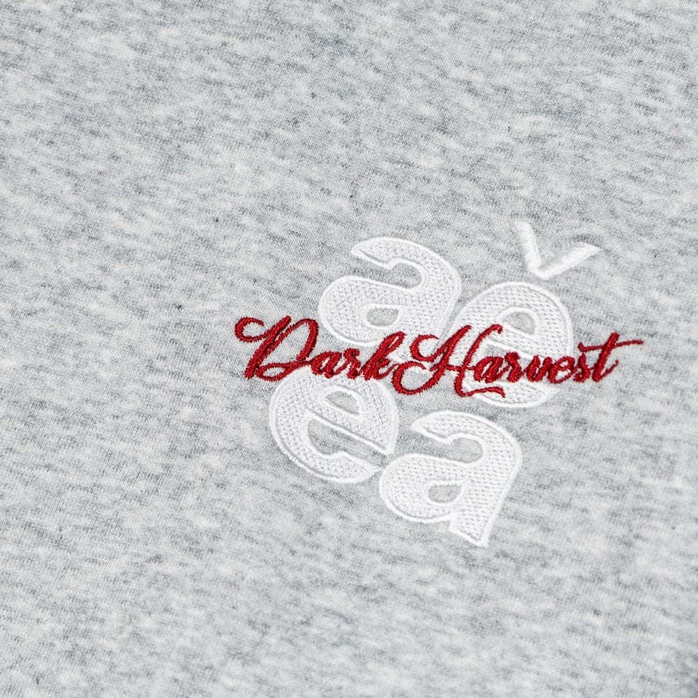 Men's American Streetwear Pullover Hoodie, 3D Raised Letter Embroidery, Loose Oversized Casual Sweatshirt for Spring & Autumn