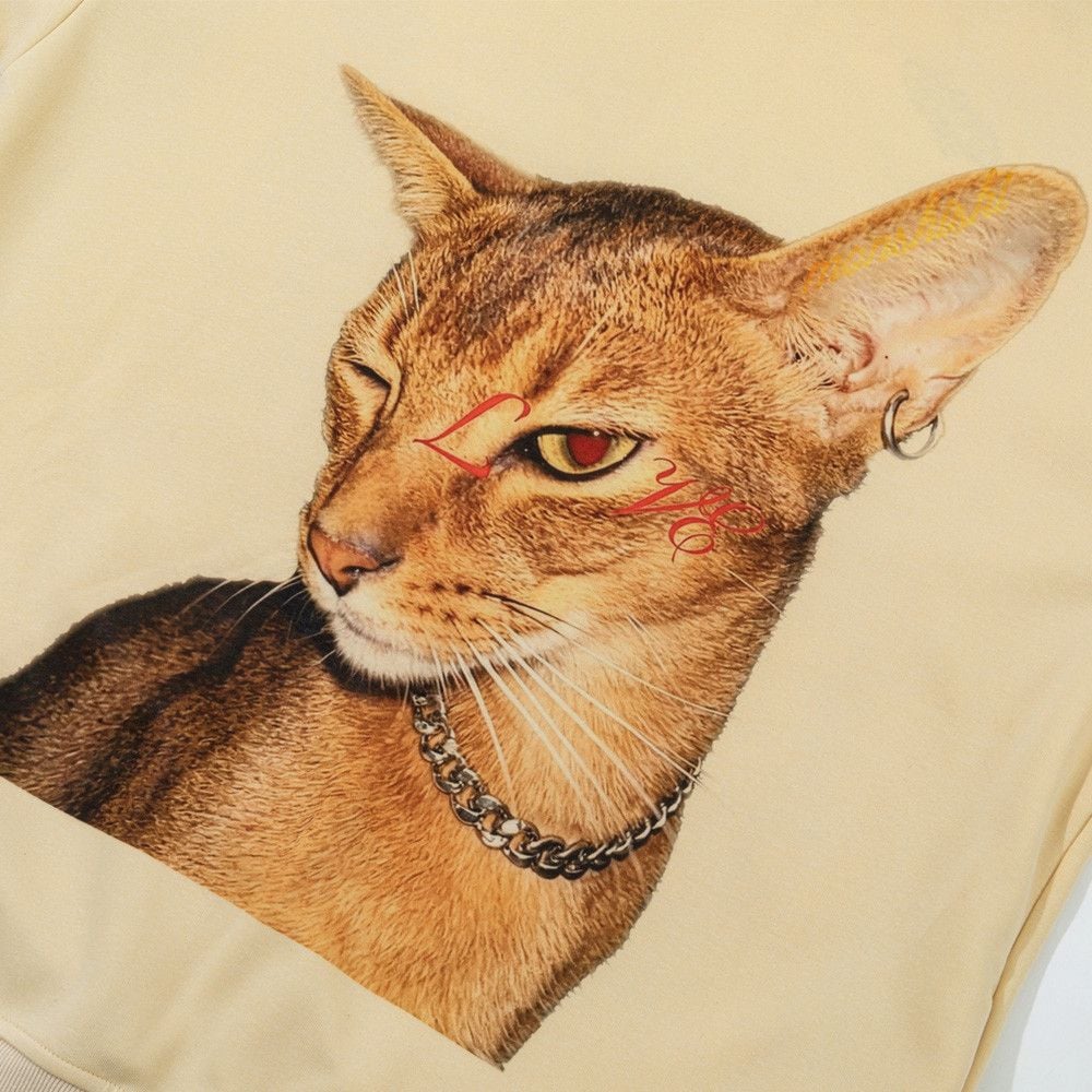 Men High‑Street Hip‑Hop Pullover Hoodie, Cool Kitty Cat Graphic Print Loose Sweatshirt With Patch Pockets for Spring Autumn
