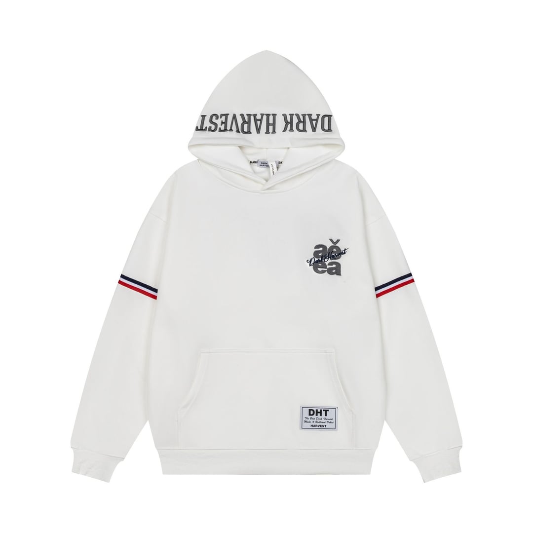 Men's American Streetwear Pullover Hoodie, 3D Raised Letter Embroidery, Loose Oversized Casual Sweatshirt for Spring & Autumn